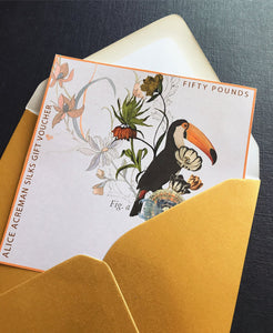 Alice Acreman silks gift voucher to the value of 25, 50 and 100 pounds with illustration
